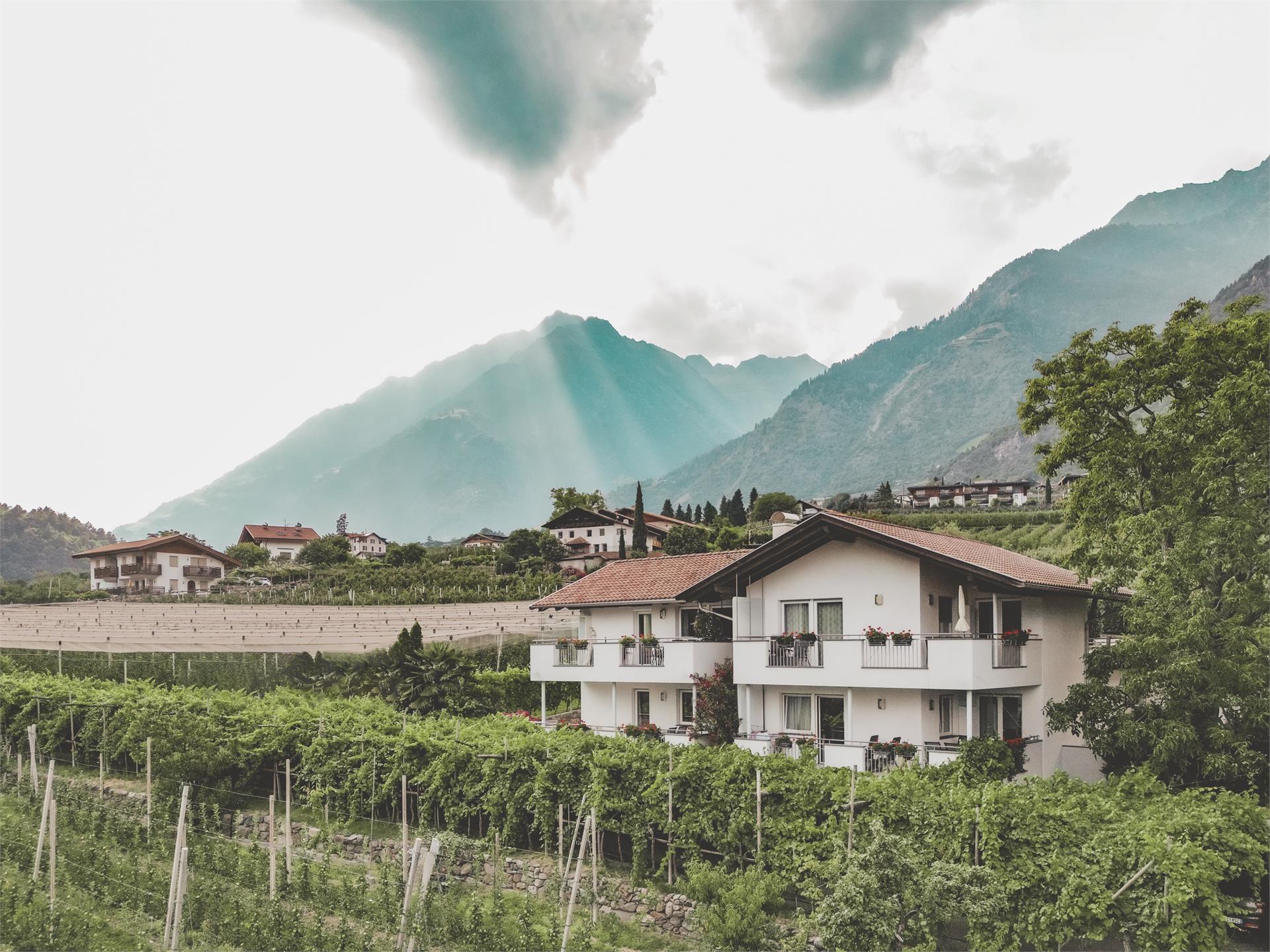 Bauernhof Scheitenguterhof Algund 2 suedtirol.info