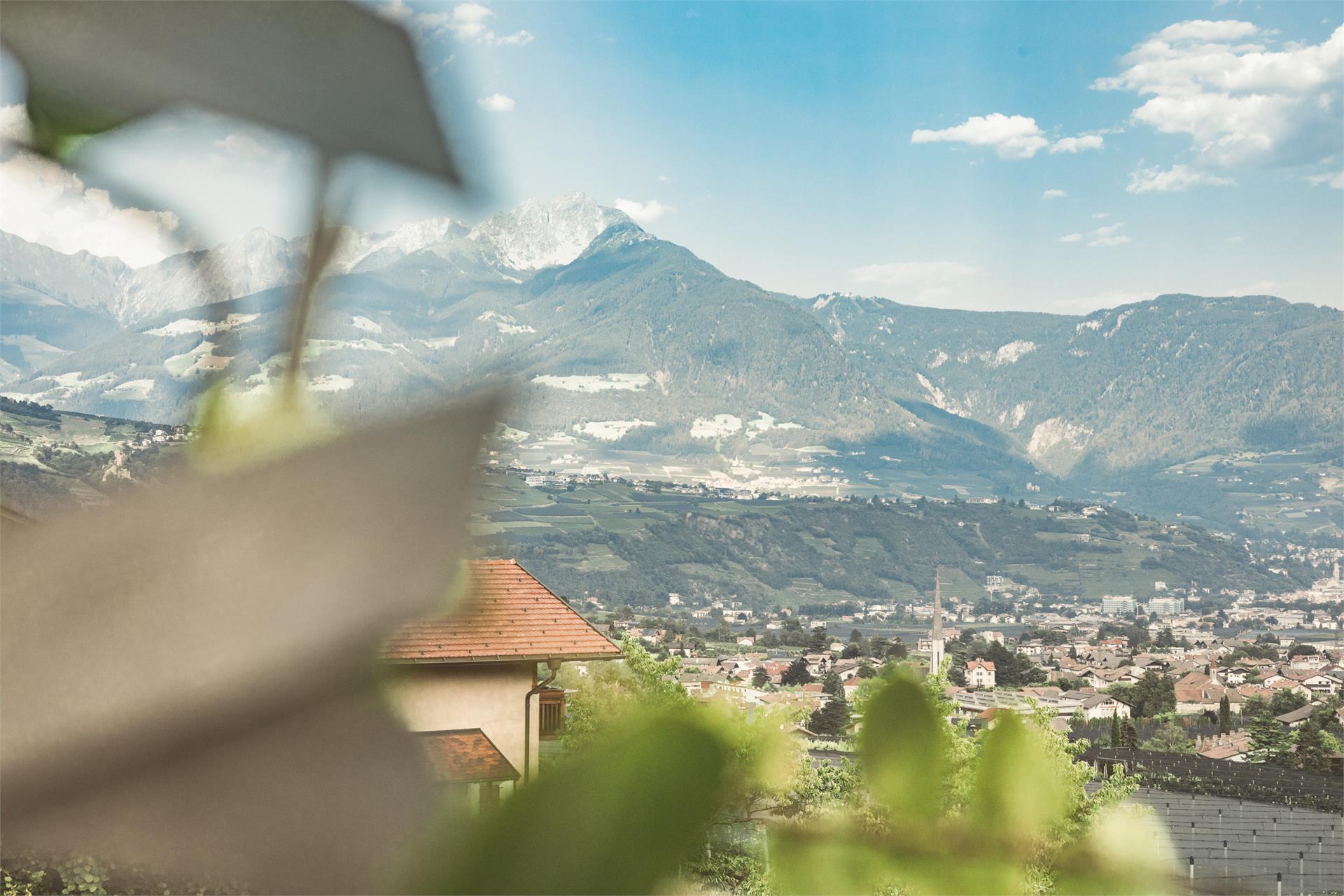 Bauernhof Scheitenguterhof Algund 22 suedtirol.info