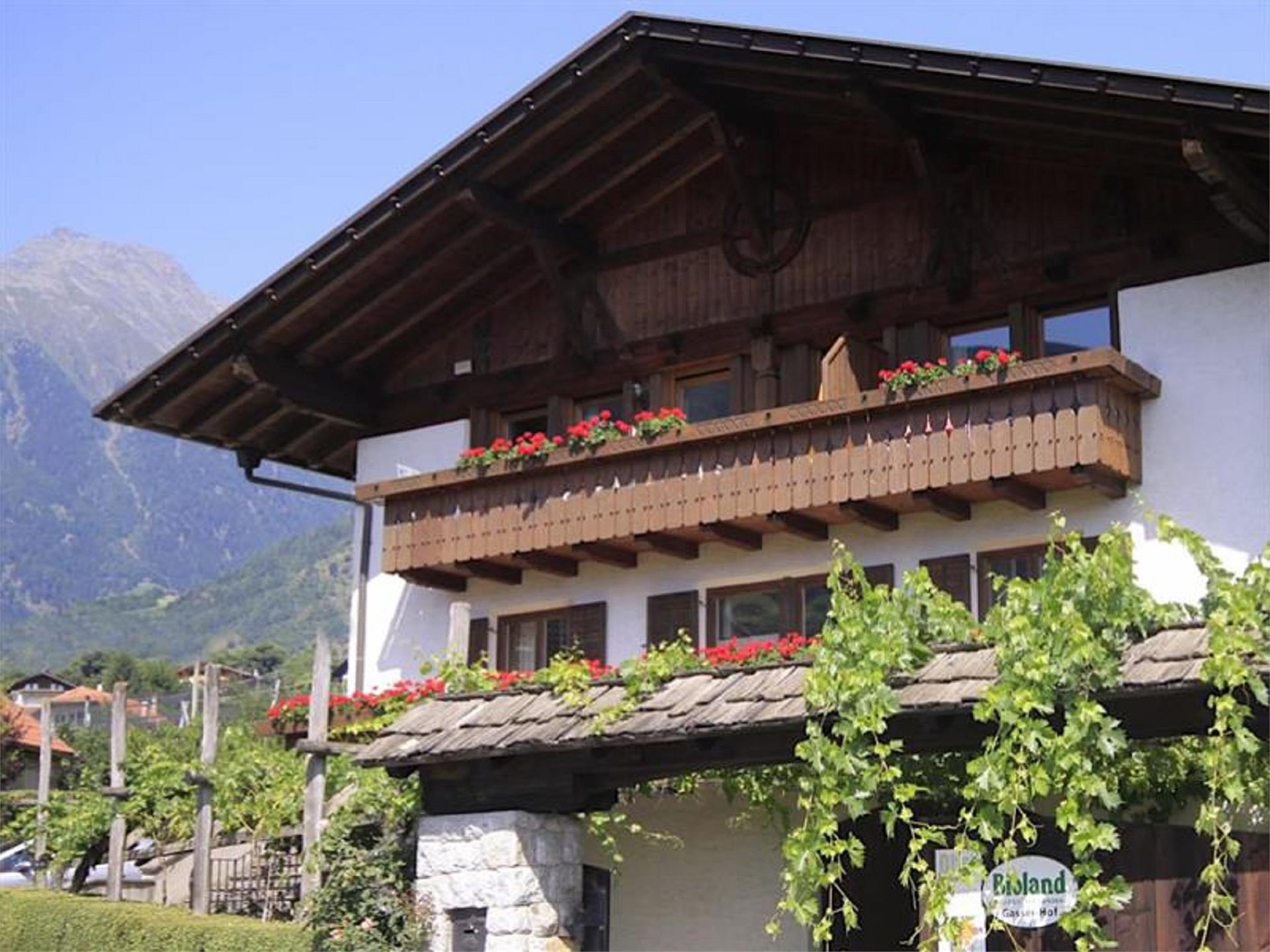 Agriturismo Gasserhof Lagundo 1 suedtirol.info