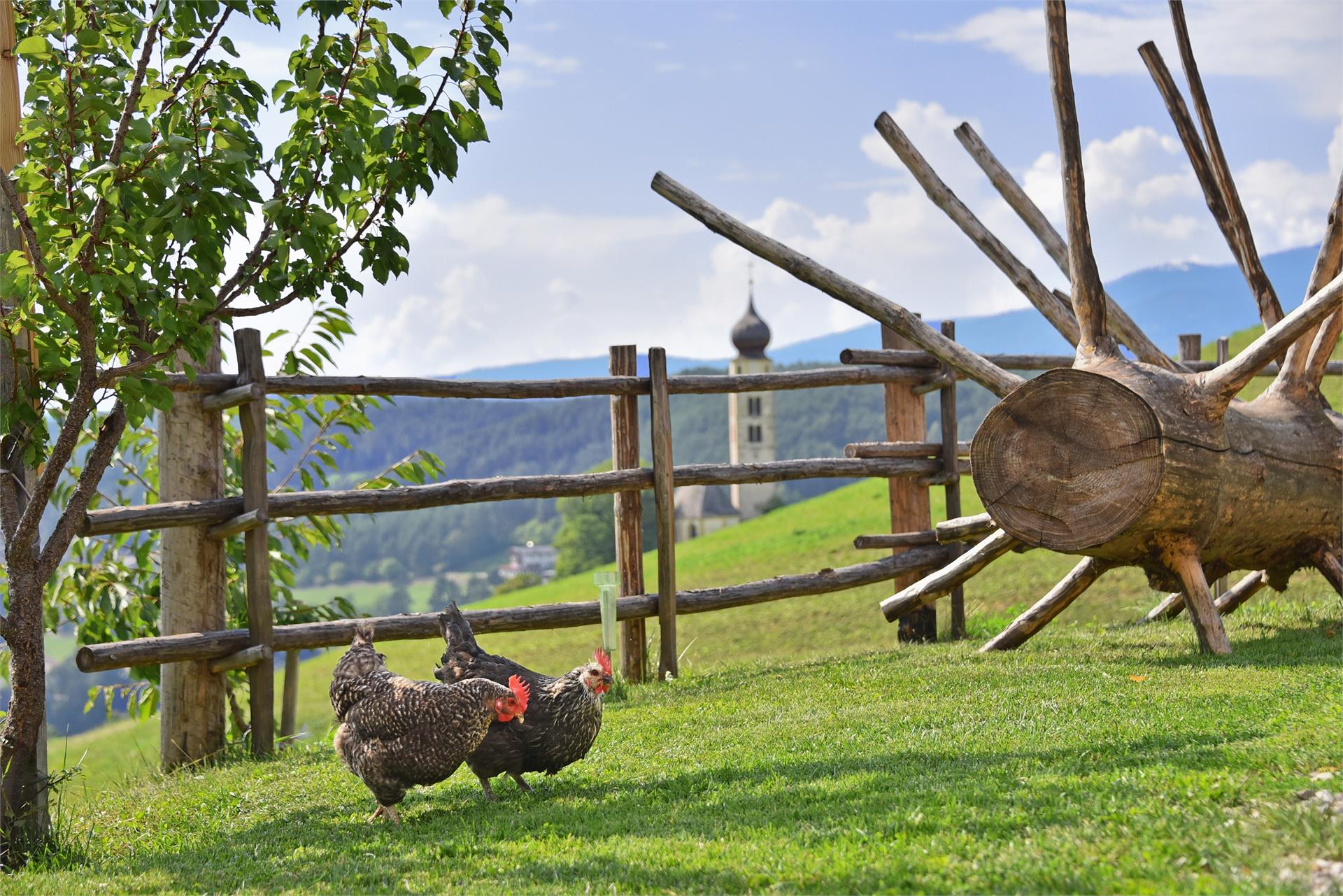 Farmhouse Paten Kastelruth/Castelrotto 12 suedtirol.info