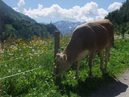 Brugghof (Ausserbrugghof) Schnals 19 suedtirol.info