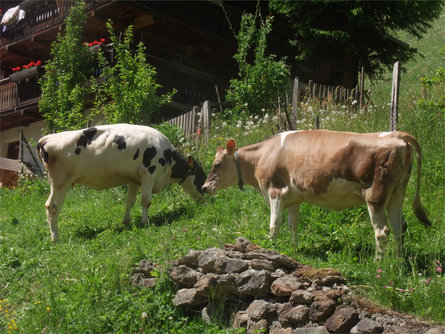 Brugghof (Ausserbrugghof) Schnals 21 suedtirol.info