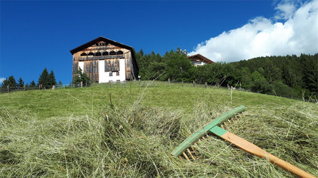 Organic farm Grotthof Deutschnofen/Nova Ponente 18 suedtirol.info