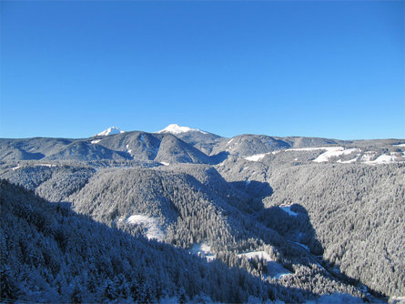 Biobauernhof Grotthof Deutschnofen 29 suedtirol.info