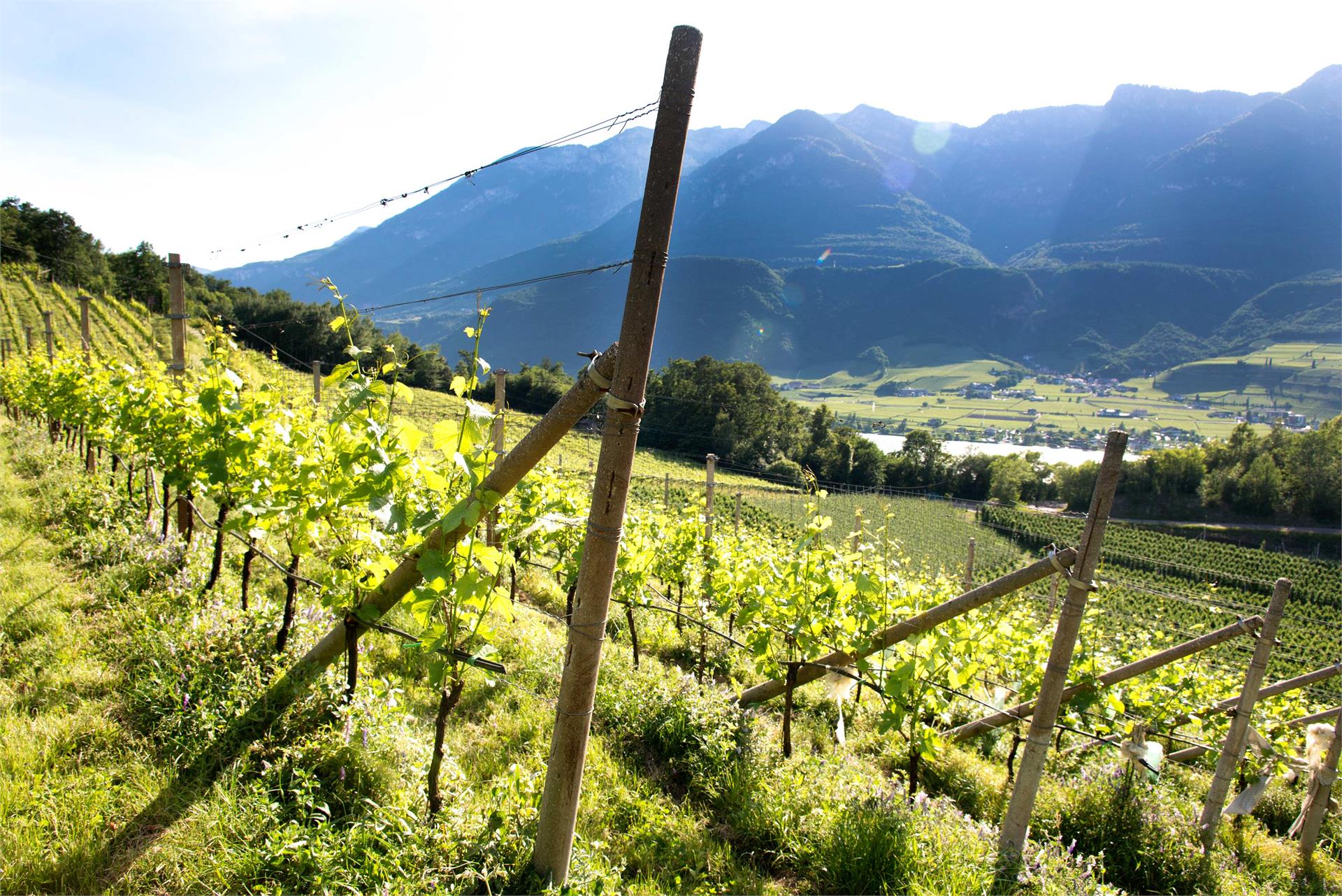 BNB Kreithof Caldaro sulla Strada del Vino 14 suedtirol.info