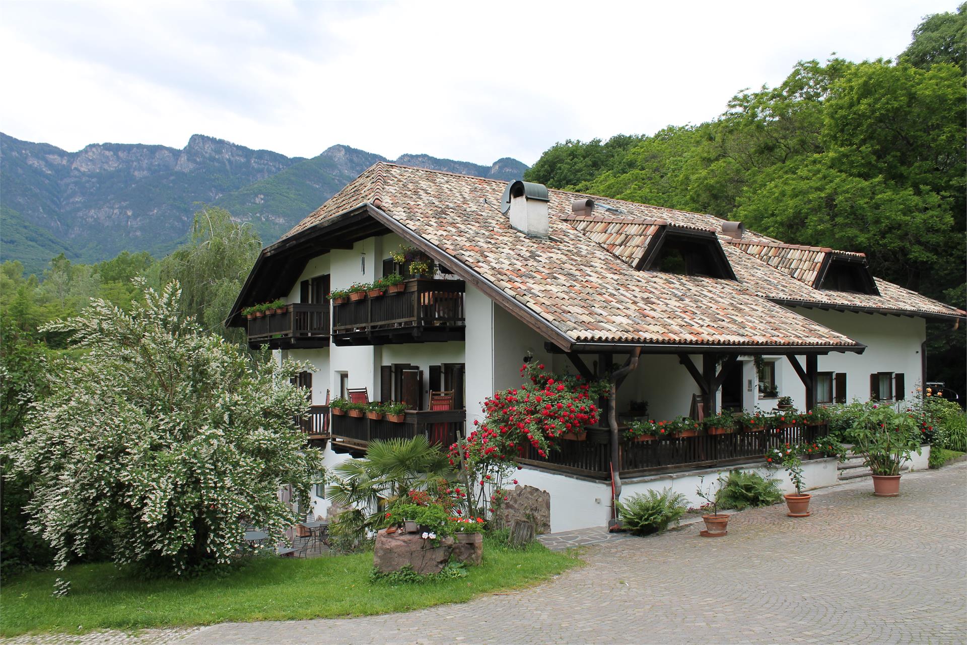 BNB Kreithof Caldaro sulla Strada del Vino 3 suedtirol.info