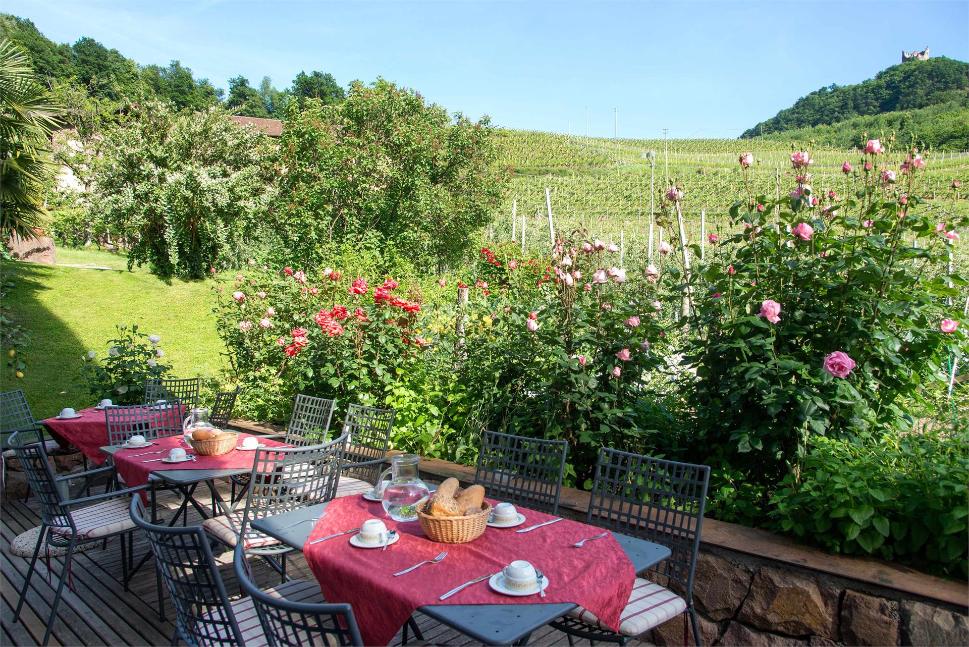 BNB Kreithof Caldaro sulla Strada del Vino 16 suedtirol.info