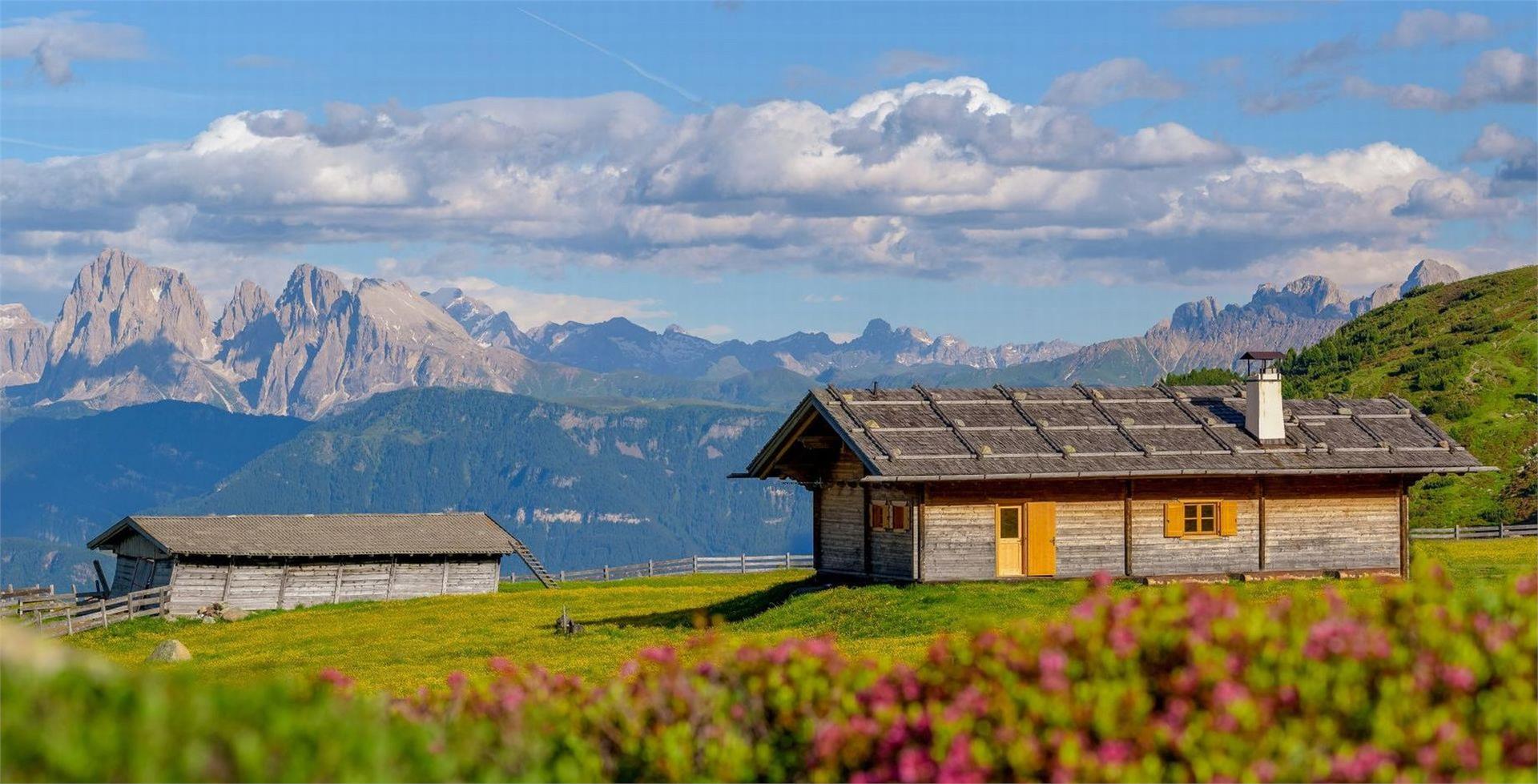 Berglandhotel Untertheimerhof Villanders/Villandro 18 suedtirol.info