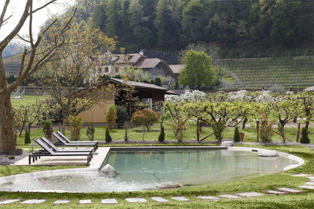 Belia Lofts Appiano sulla Strada del Vino 3 suedtirol.info