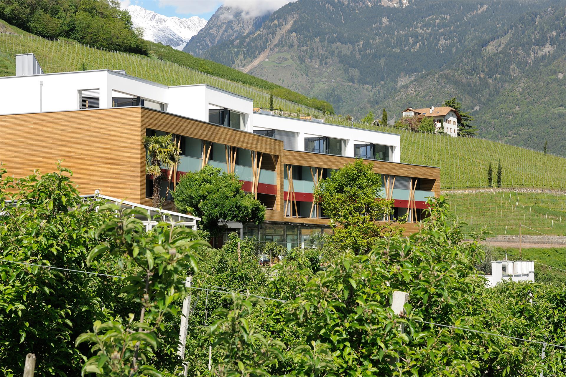 Bio Gourmet Health Retreat und Spa Pazeider Marlengo 10 suedtirol.info