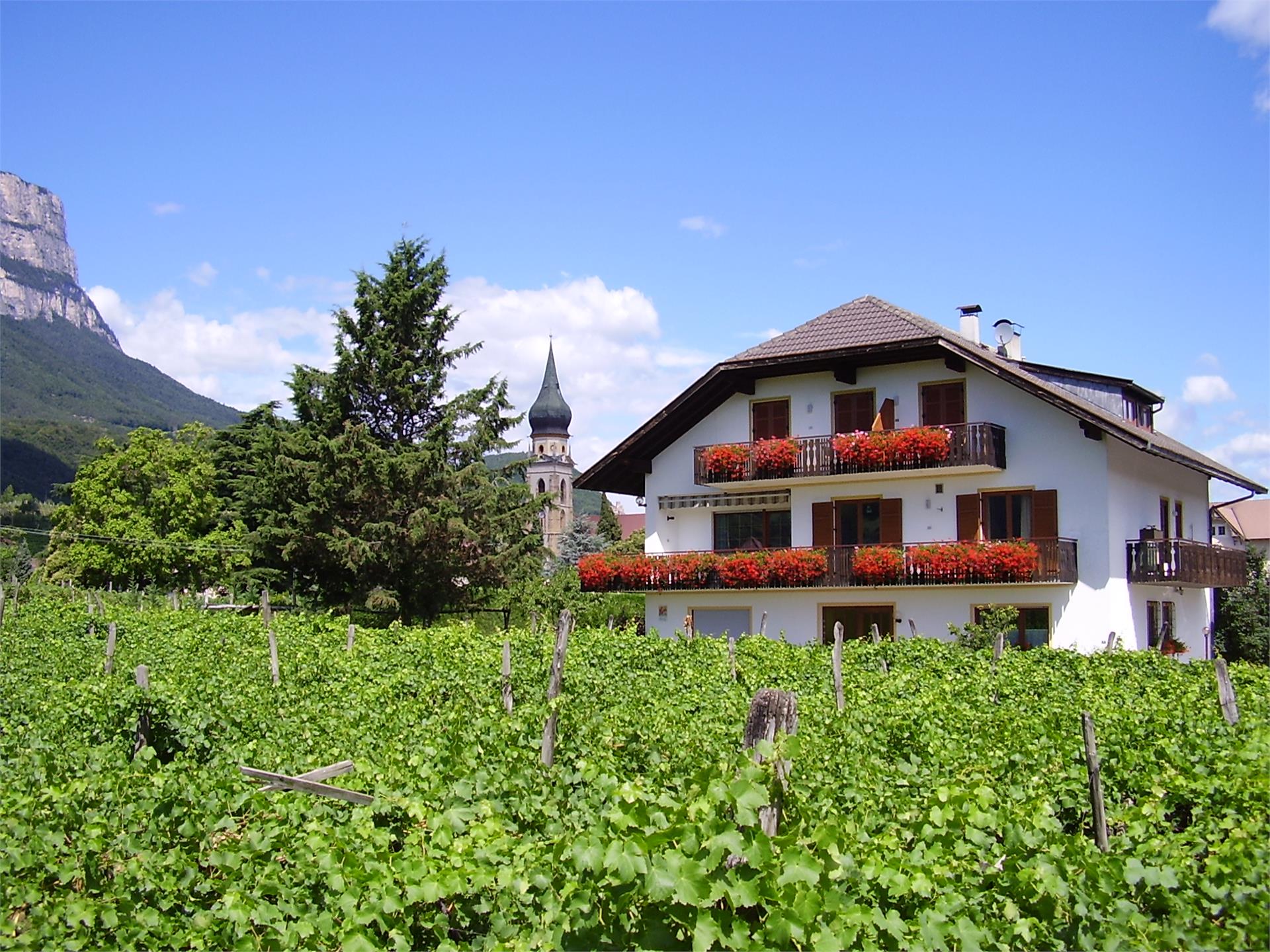 Breitenhof Eppan an der Weinstaße/Appiano sulla Strada del Vino 1 suedtirol.info