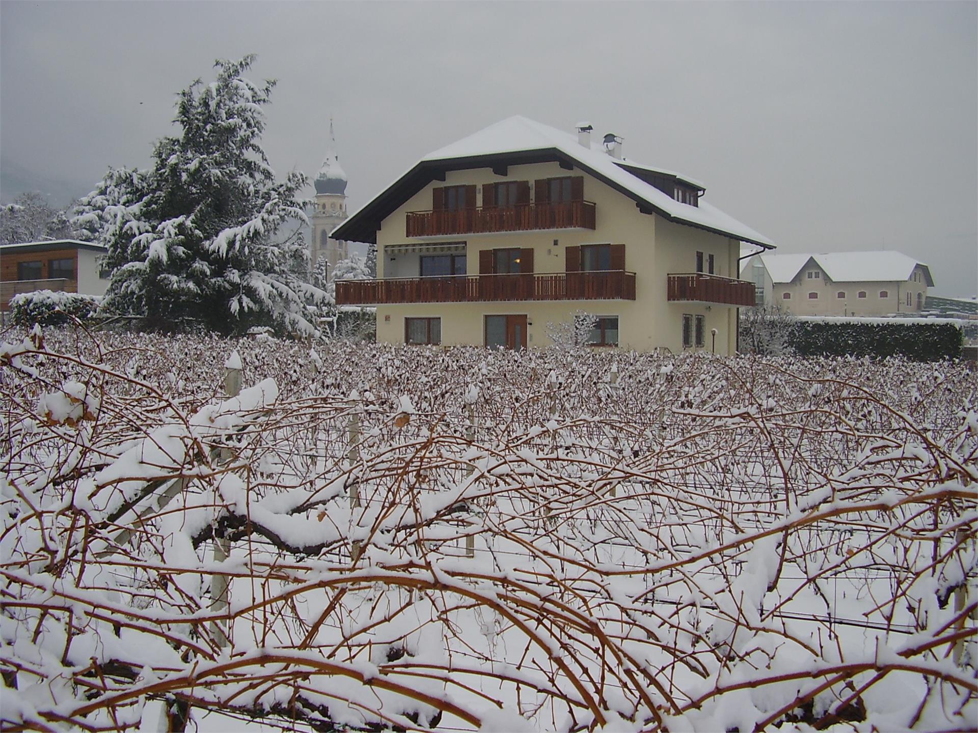 Breitenhof Eppan an der Weinstaße/Appiano sulla Strada del Vino 2 suedtirol.info