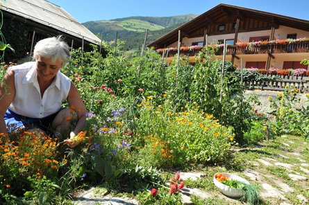 Bio Landhotel Anna Silandro 8 suedtirol.info