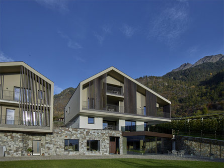 Bauernhof Hofer Hof Algund/Lagundo 1 suedtirol.info