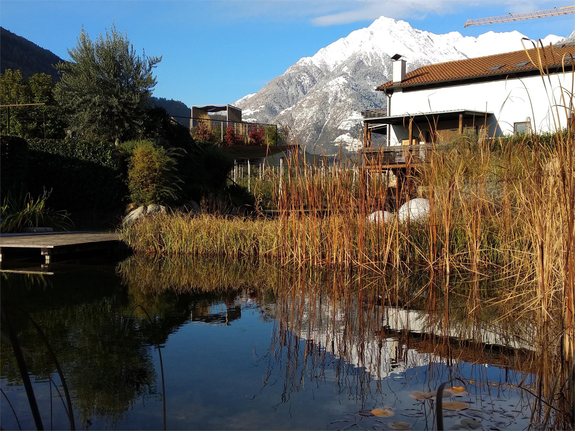 Gapphof Algund/Lagundo 2 suedtirol.info