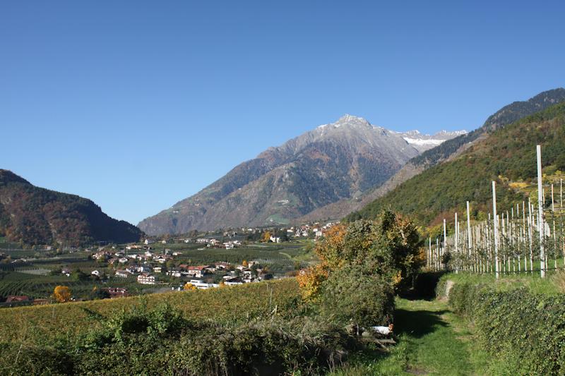 Agriturismo Traterhof Lagundo 5 suedtirol.info