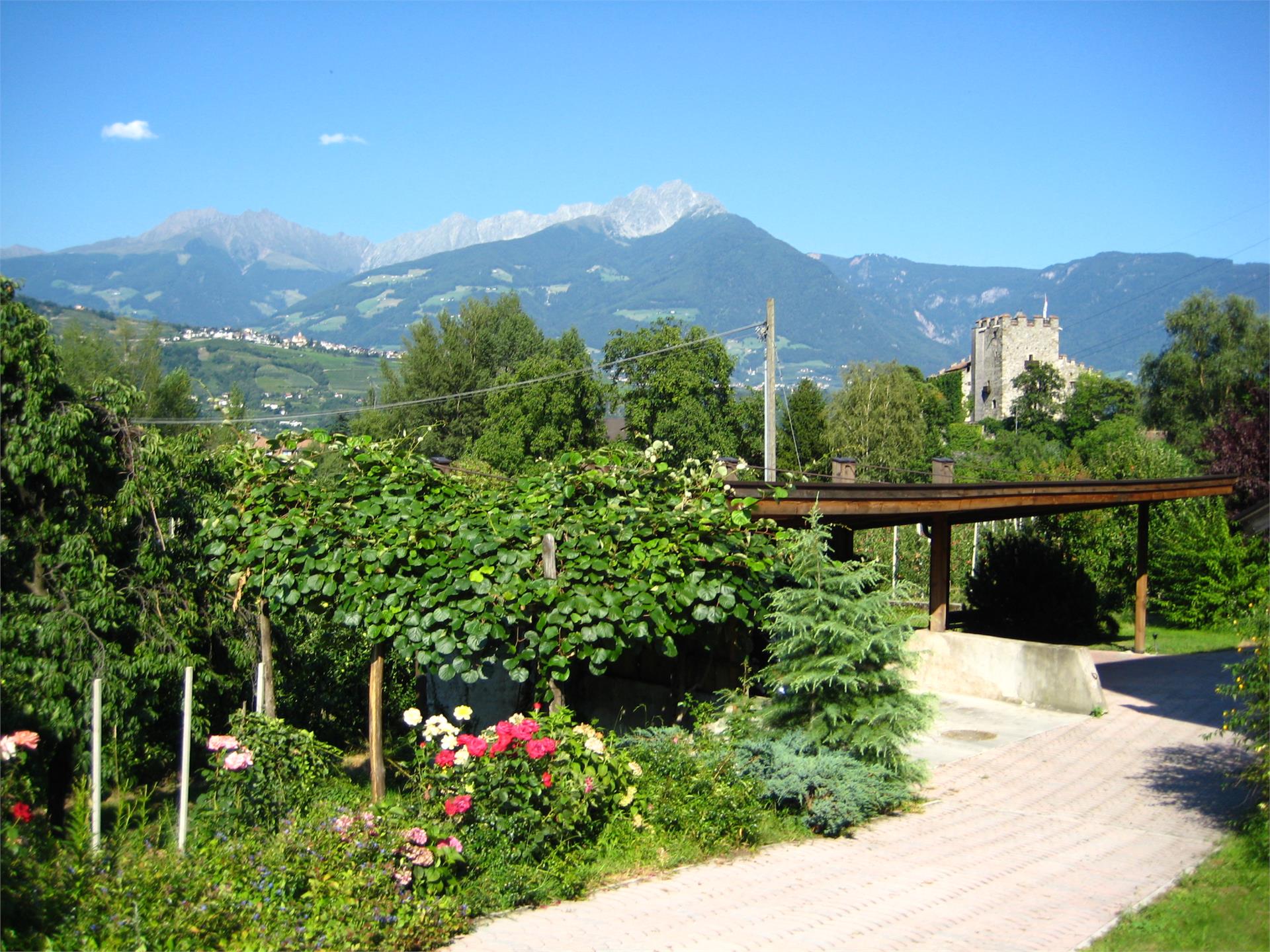 Bauernhof Pendlerhof Algund 5 suedtirol.info