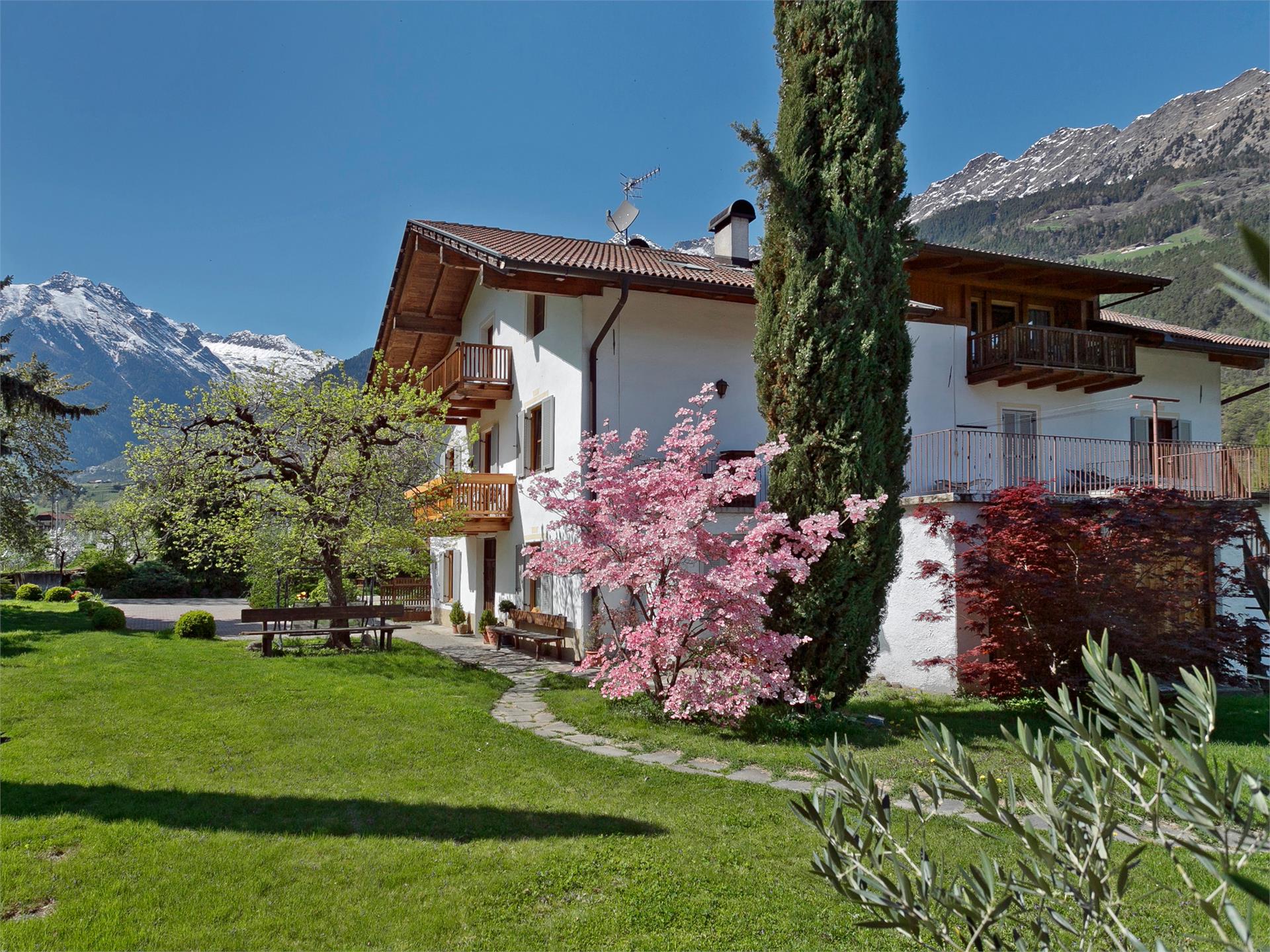 Bauernhof Pendlerhof Algund 1 suedtirol.info