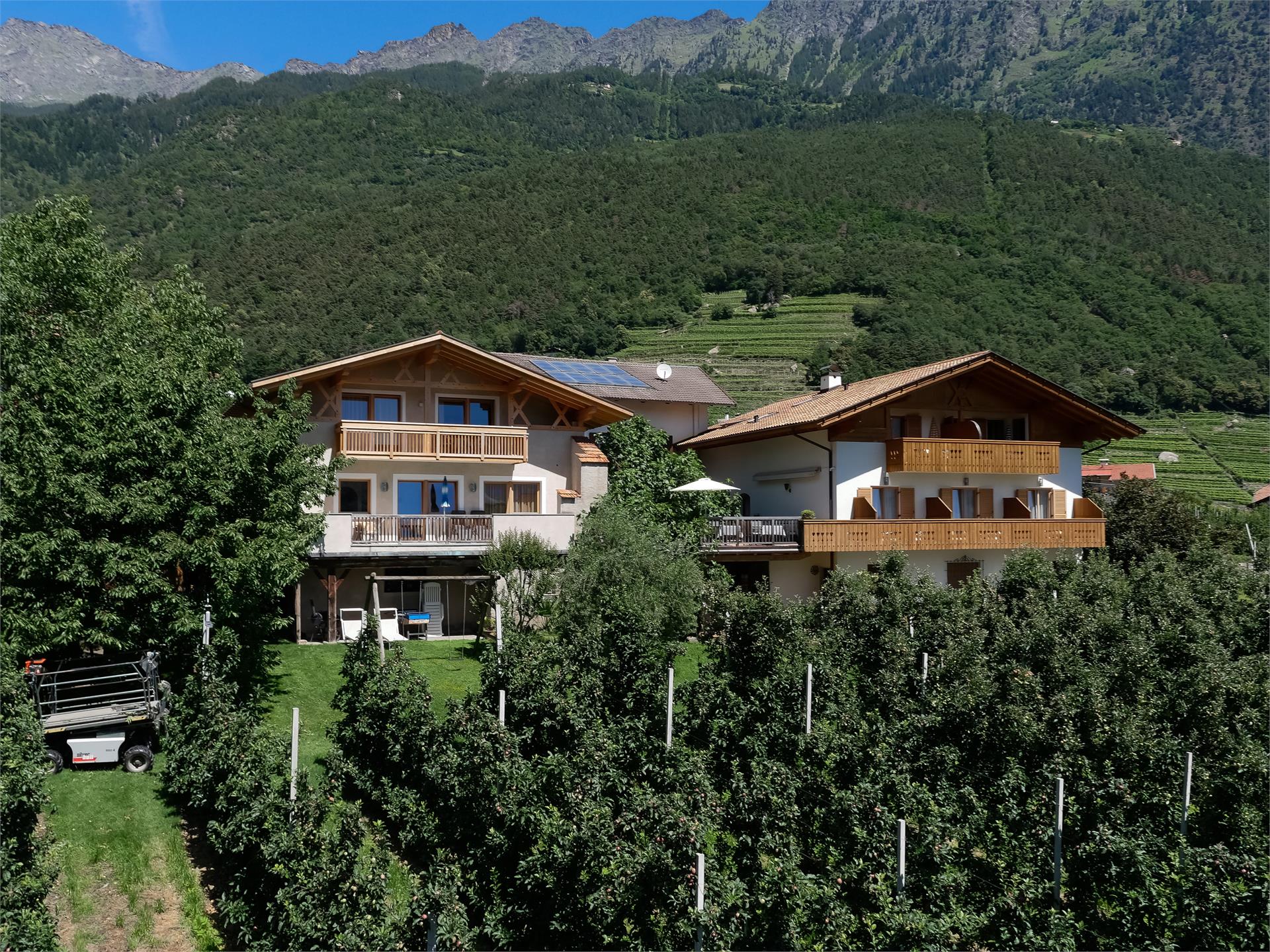 Bauernhof Bognerhof Algund 1 suedtirol.info