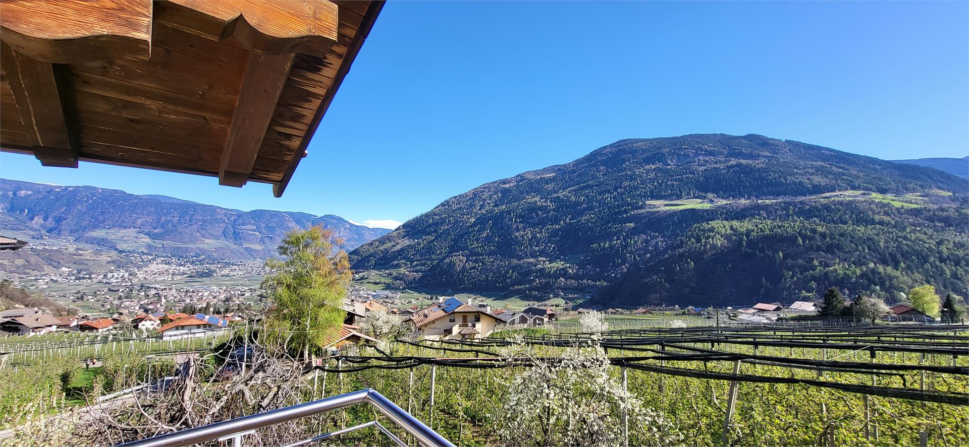 Agriturismo Almbergerhof Lagundo 6 suedtirol.info