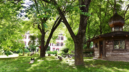 Campan Brixen 9 suedtirol.info