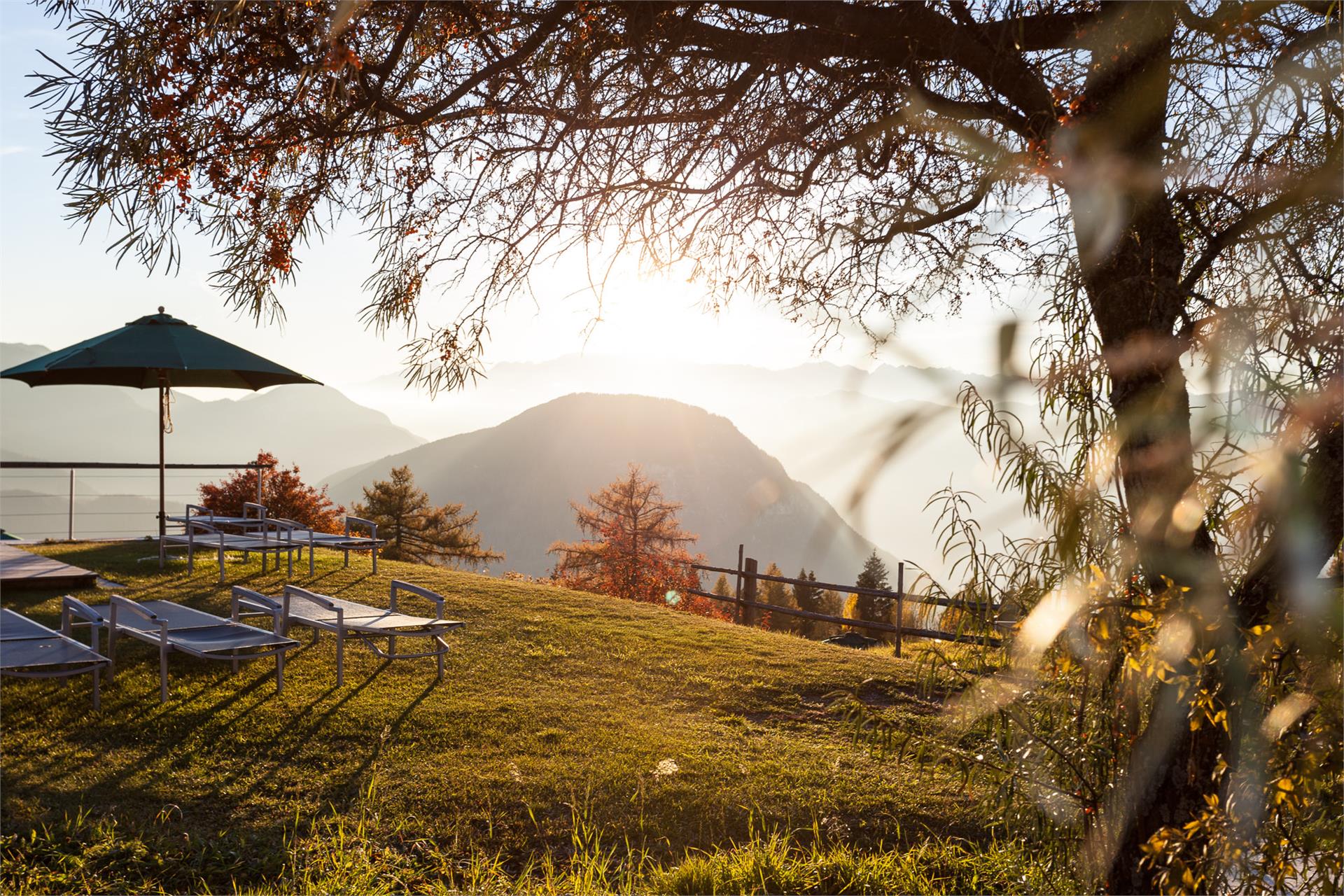 Der Zirmerhof Aldein 14 suedtirol.info