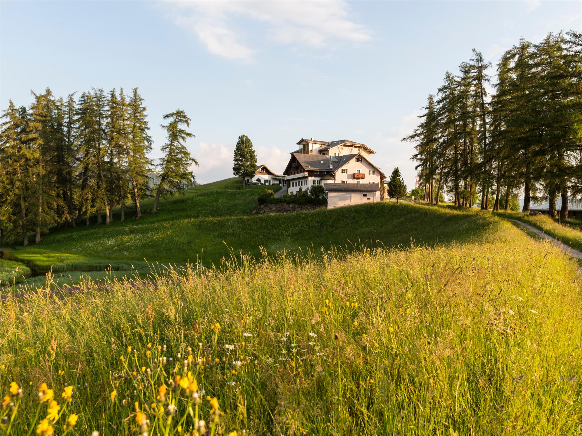 Der Zirmerhof Aldein 1 suedtirol.info