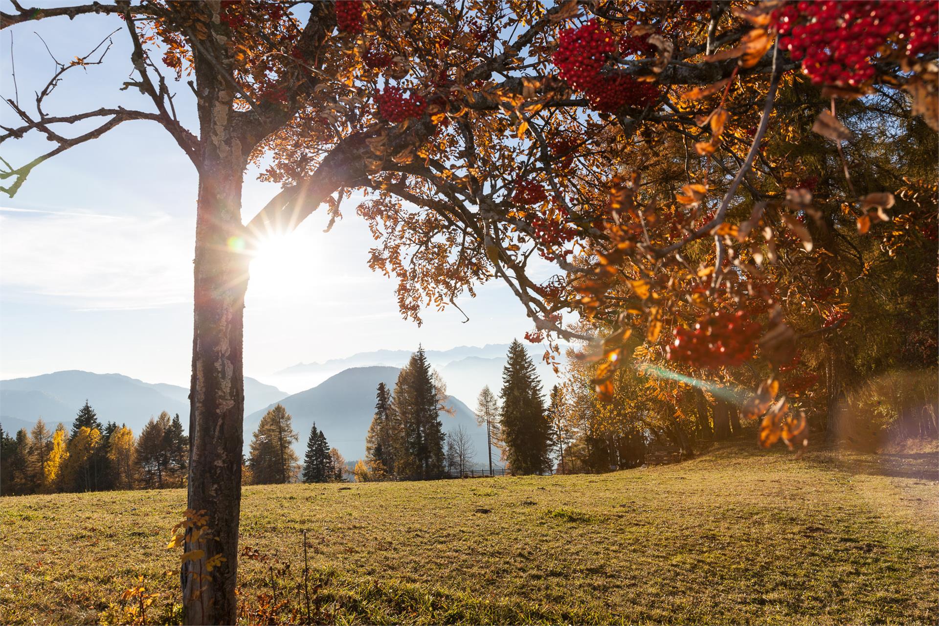 Der Zirmerhof Aldein 15 suedtirol.info