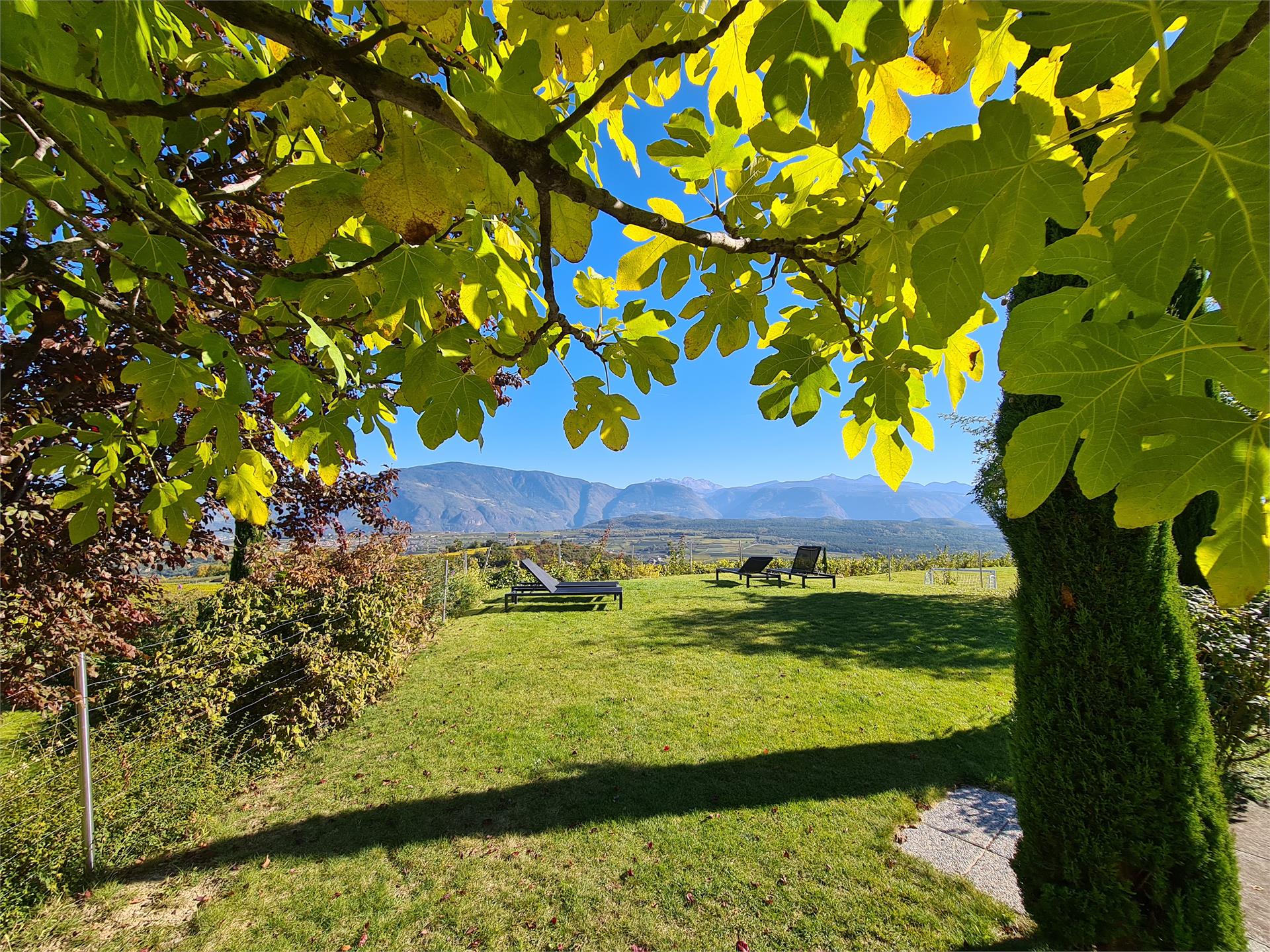 DAS MATSCHER - Residence & Garden Hotel Appiano sulla Strada del Vino 17 suedtirol.info