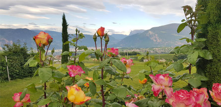 DAS MATSCHER - Residence & Garden Hotel Eppan an der Weinstraße 11 suedtirol.info