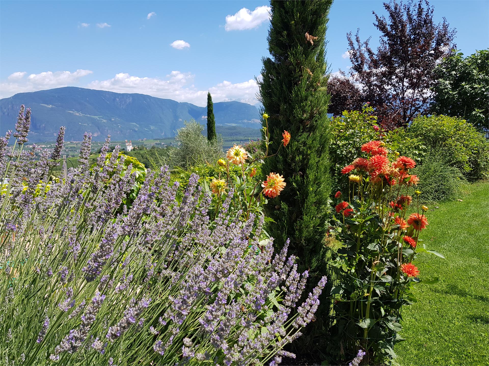 DAS MATSCHER - Residence & Garden Hotel Appiano sulla Strada del Vino 14 suedtirol.info