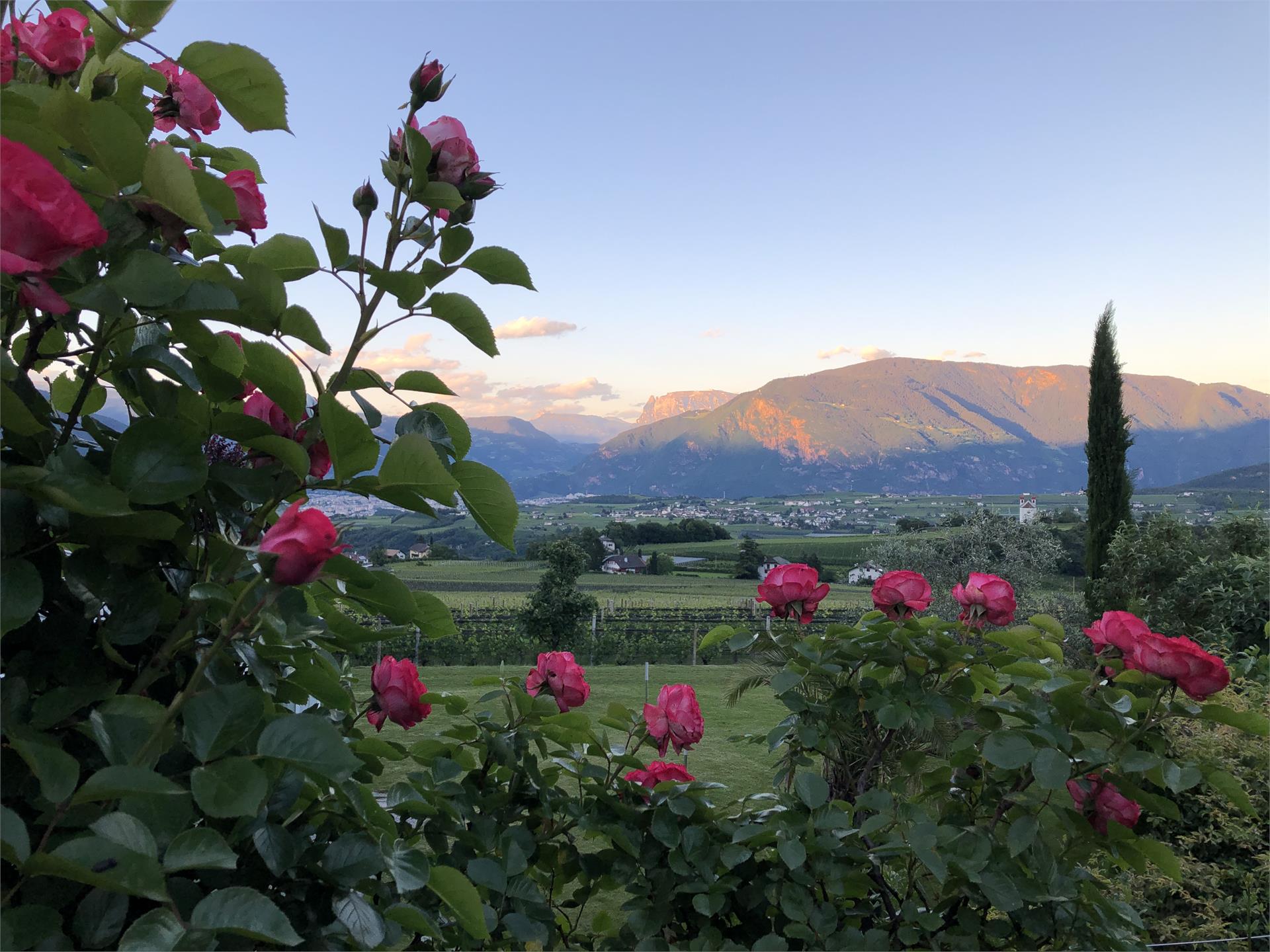 DAS MATSCHER - Residence & Garden Hotel Appiano sulla Strada del Vino 16 suedtirol.info