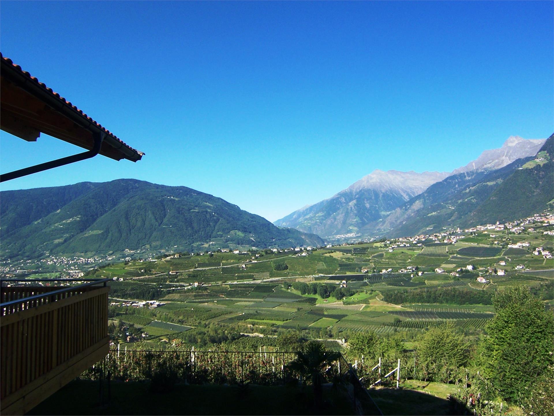 Der Blaue Reiter Schenna/Scena 7 suedtirol.info