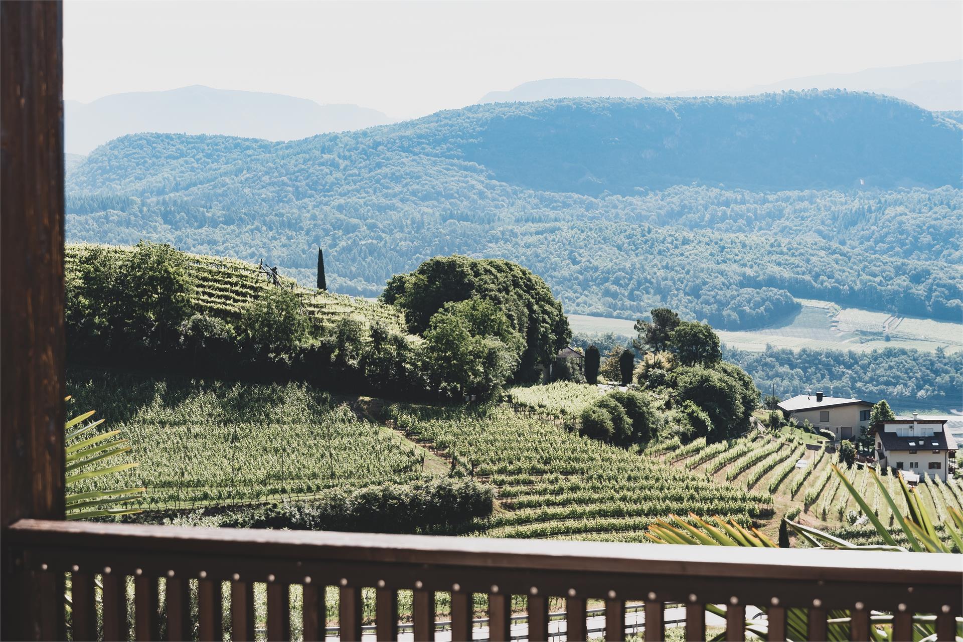 Die Sonne Kaltern an der Weinstraße/Caldaro sulla Strada del Vino 4 suedtirol.info