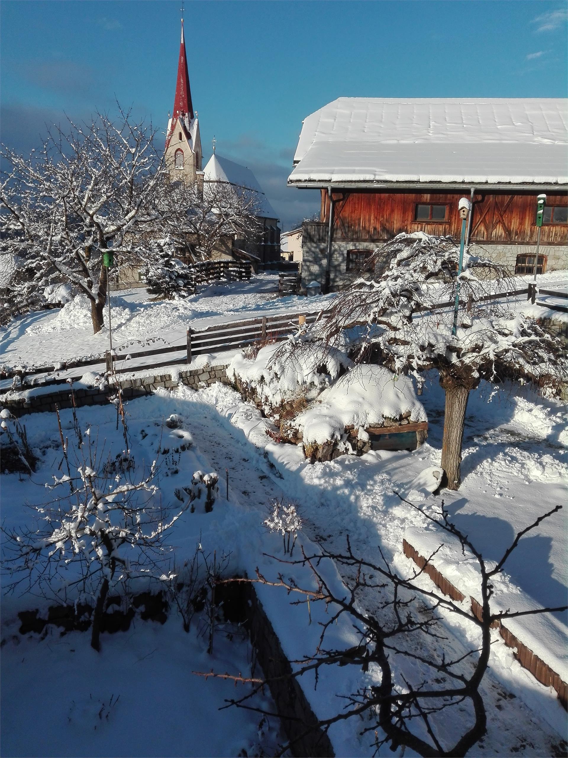 dolomitsun Perca 4 suedtirol.info