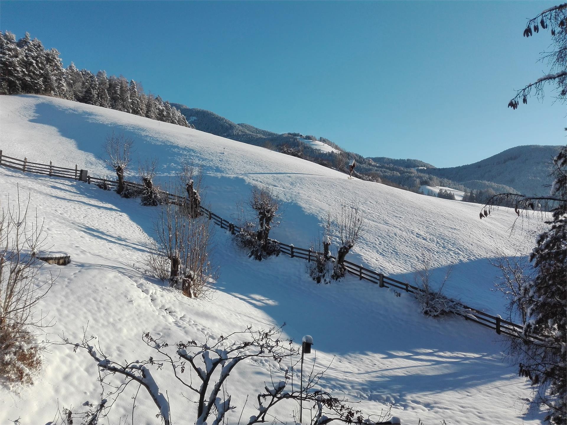 dolomitsun Perca 9 suedtirol.info