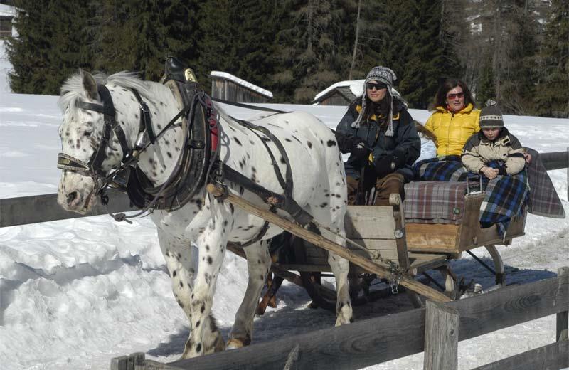 Dolomit Family Resort Garberhof Rasen-Antholz/Rasun Anterselva 9 suedtirol.info