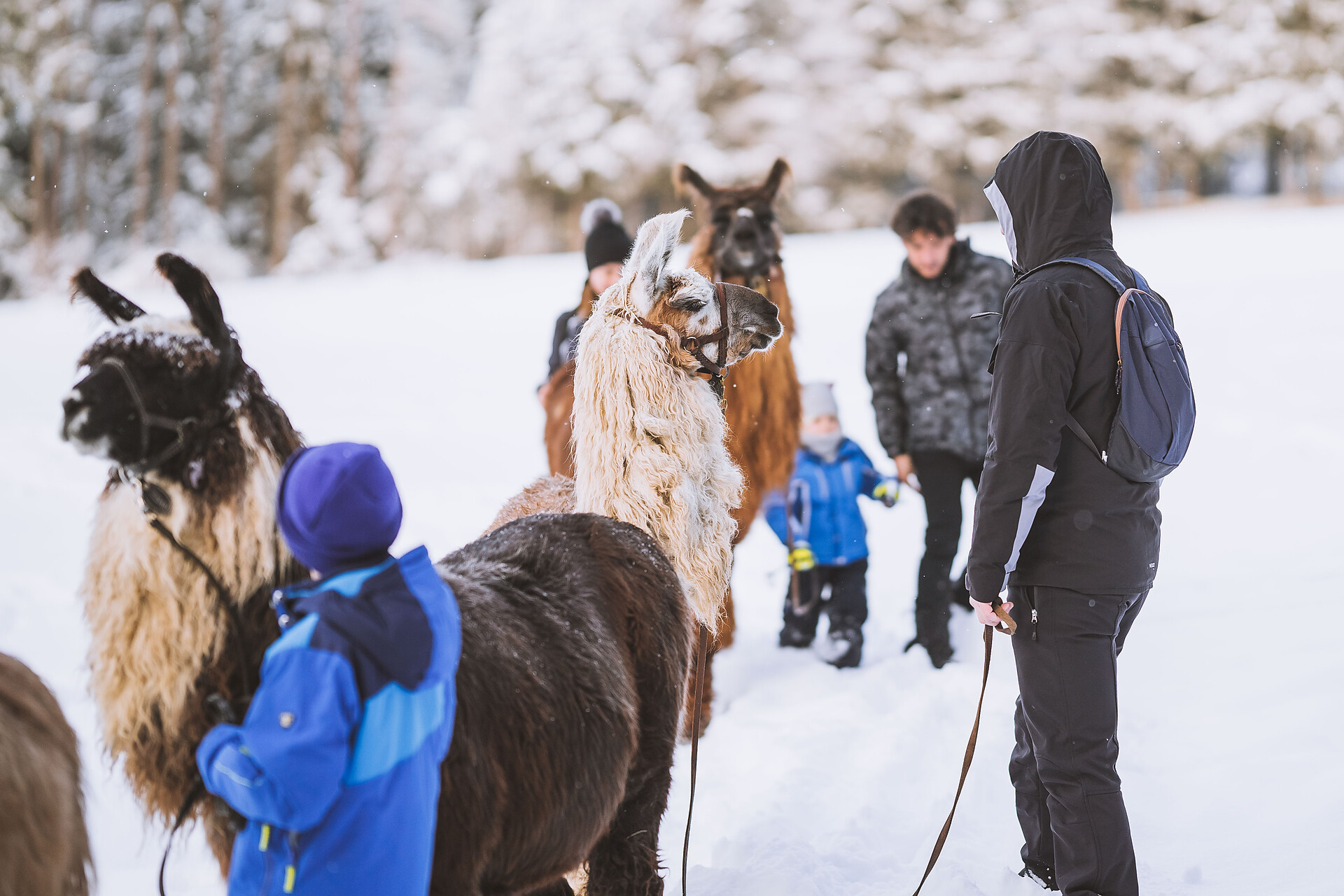 Garberhof Dolomit Family Rasun Anterselva 11 suedtirol.info