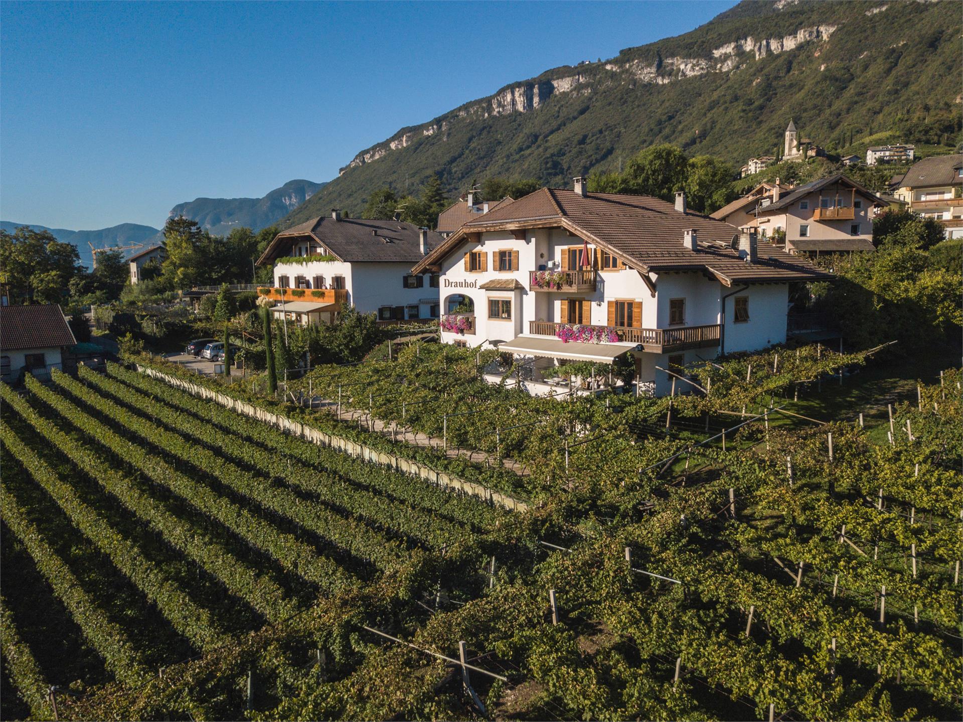 Drauhof Tramin an der Weinstraße 1 suedtirol.info