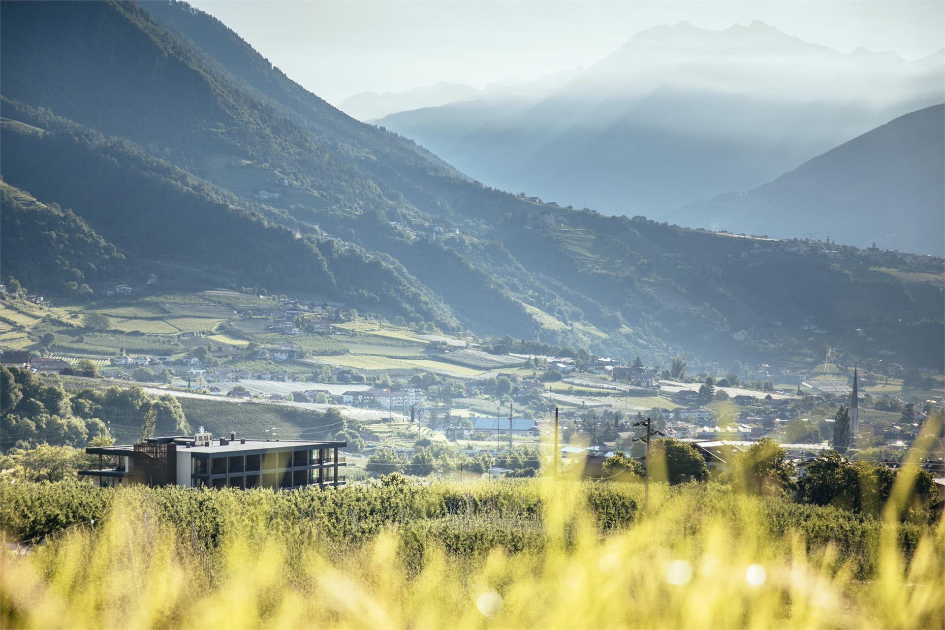 Der Forsterhof Algund 7 suedtirol.info