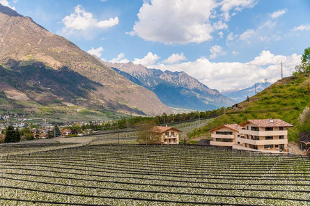 El Paradiso Naturno 3 suedtirol.info