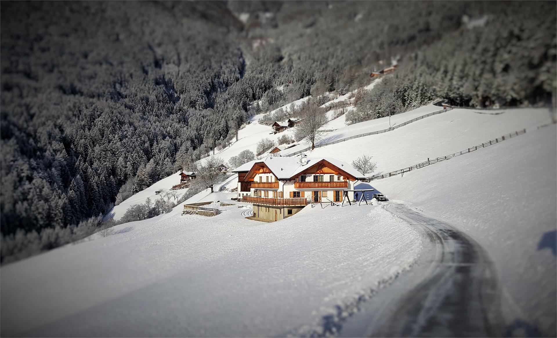 Maso Egarterhof Bressanone 1 suedtirol.info