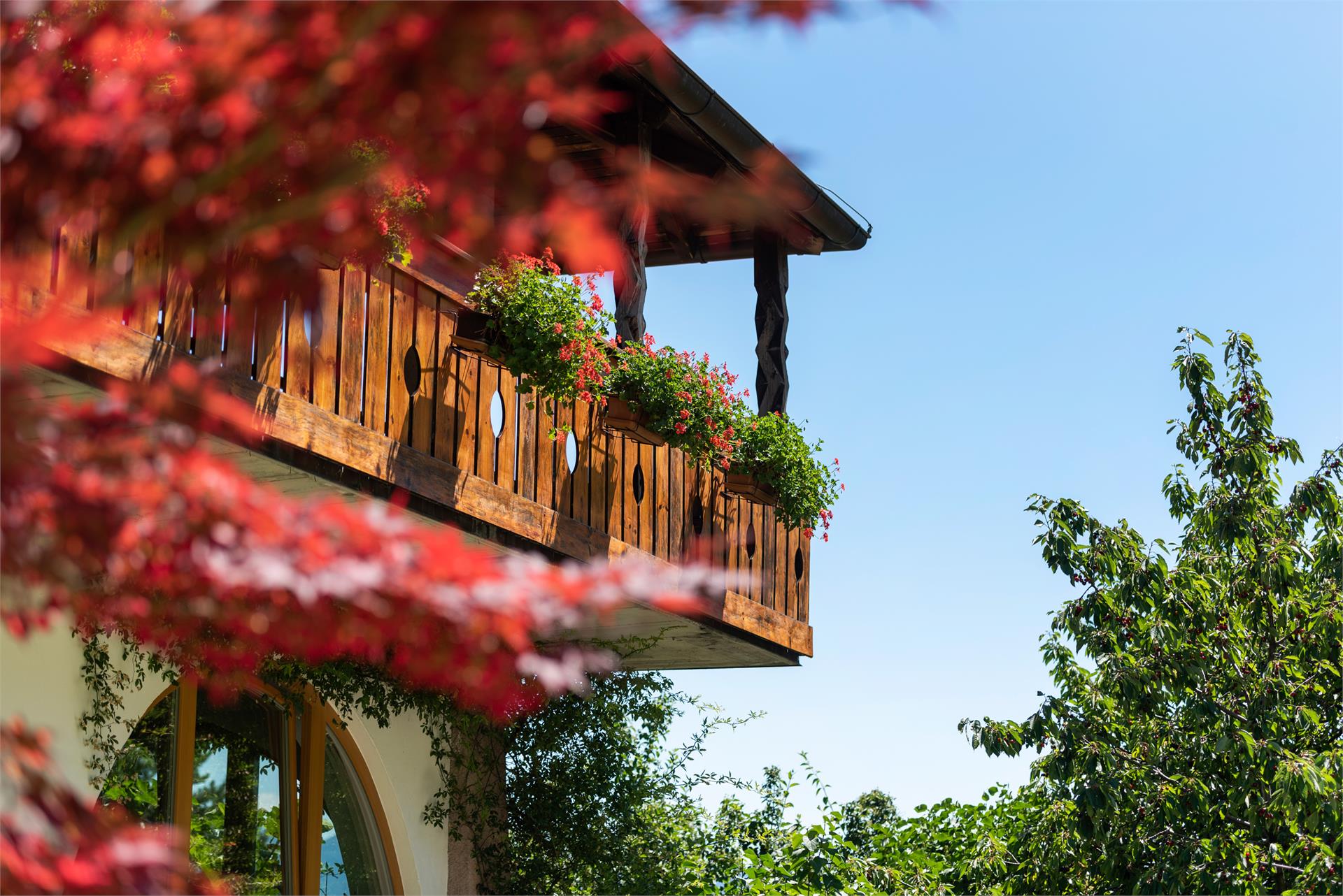 Eichhof Kaltern an der Weinstraße/Caldaro sulla Strada del Vino 2 suedtirol.info