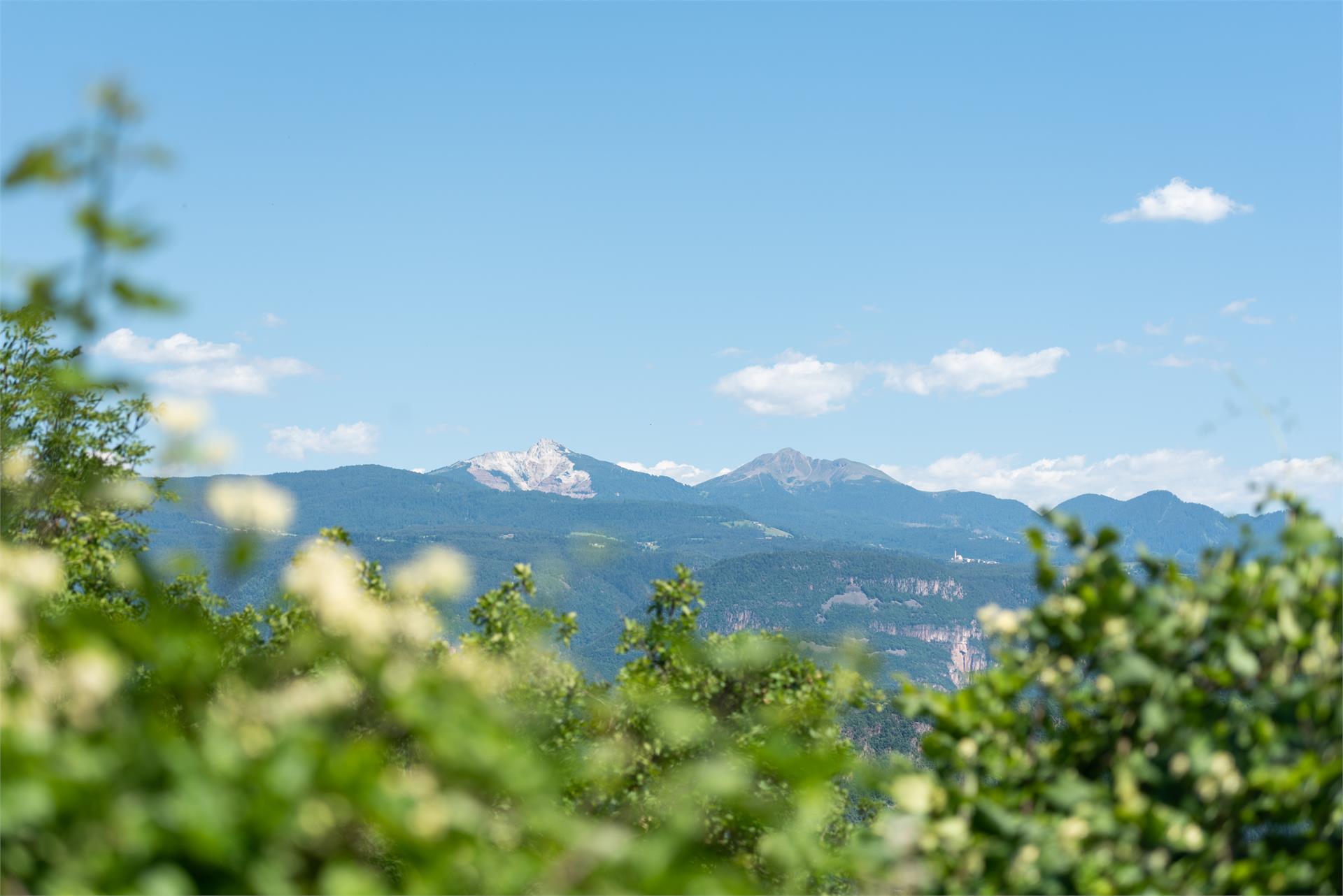 Eichhof Kaltern an der Weinstraße/Caldaro sulla Strada del Vino 16 suedtirol.info