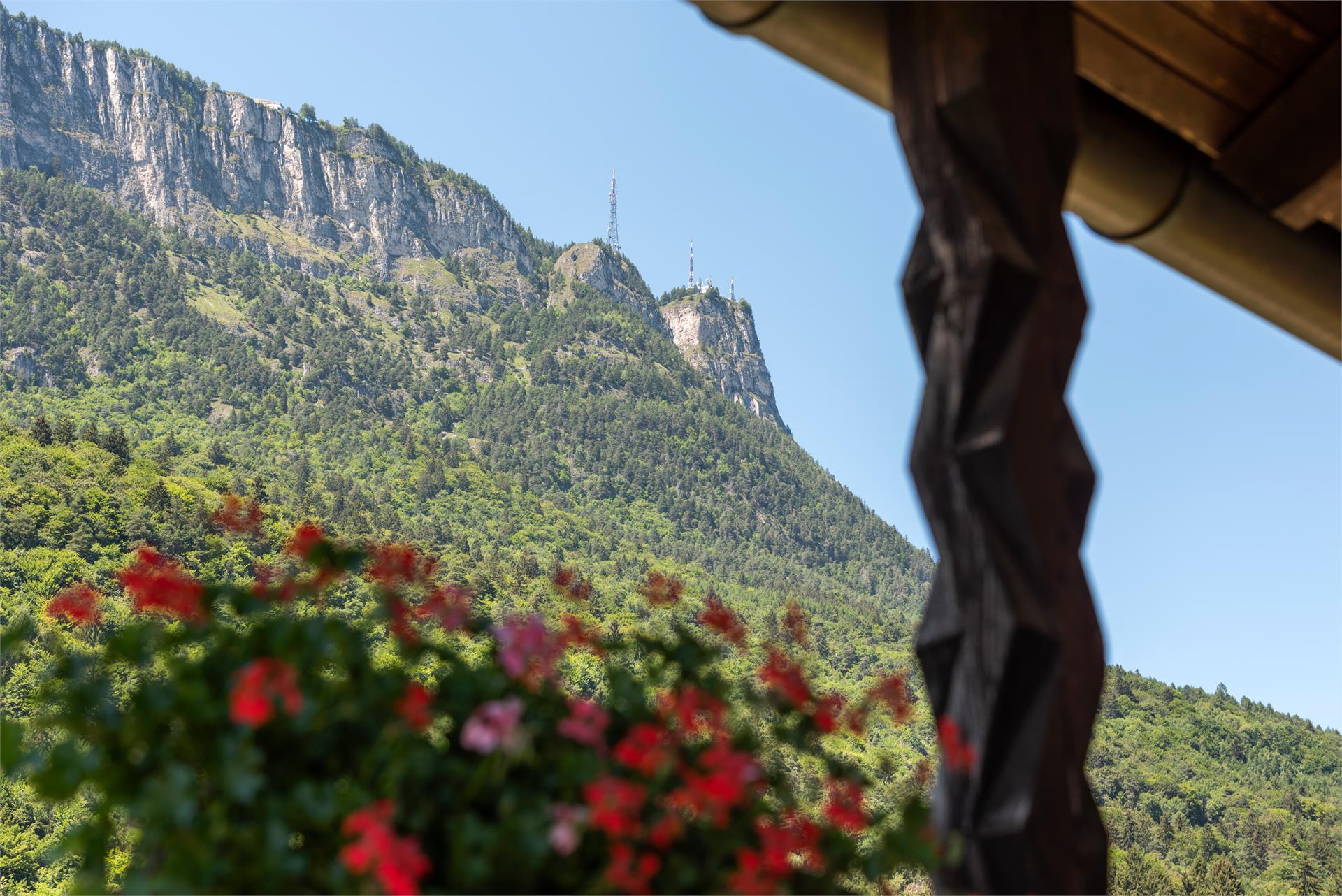 Eichhof Kaltern an der Weinstraße/Caldaro sulla Strada del Vino 11 suedtirol.info