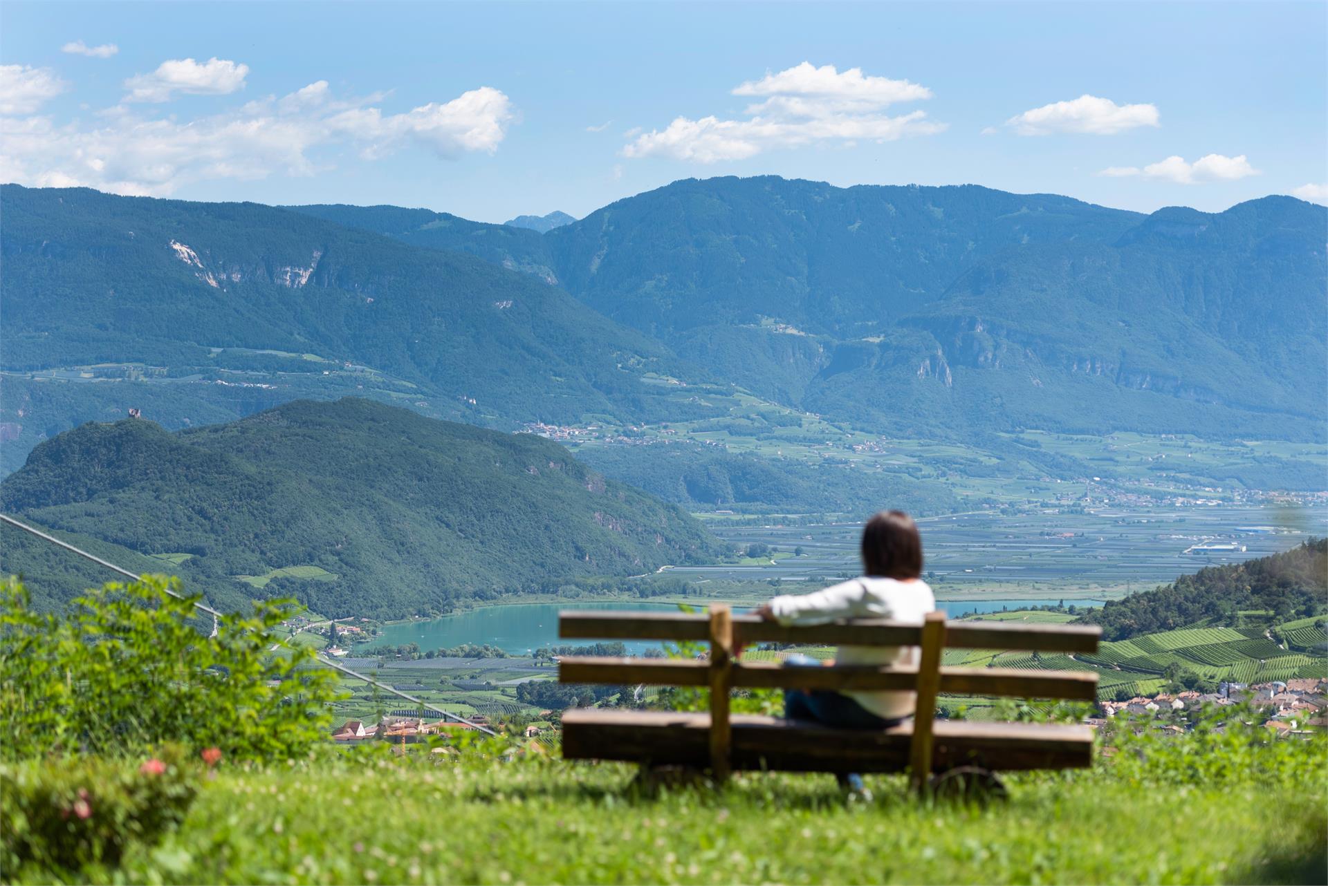 Eichhof Kaltern an der Weinstraße/Caldaro sulla Strada del Vino 4 suedtirol.info