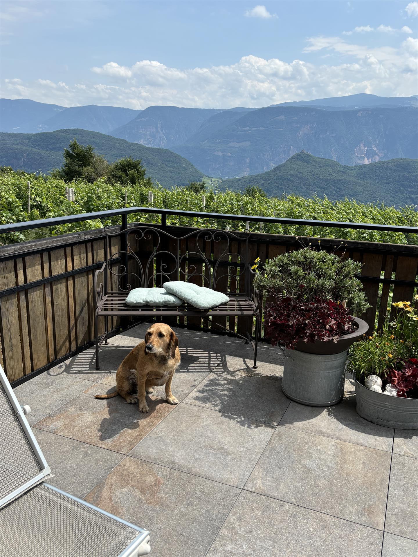 Eichenhof Kaltern an der Weinstraße/Caldaro sulla Strada del Vino 14 suedtirol.info