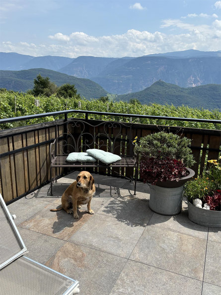 Eichenhof Caldaro sulla Strada del Vino 15 suedtirol.info