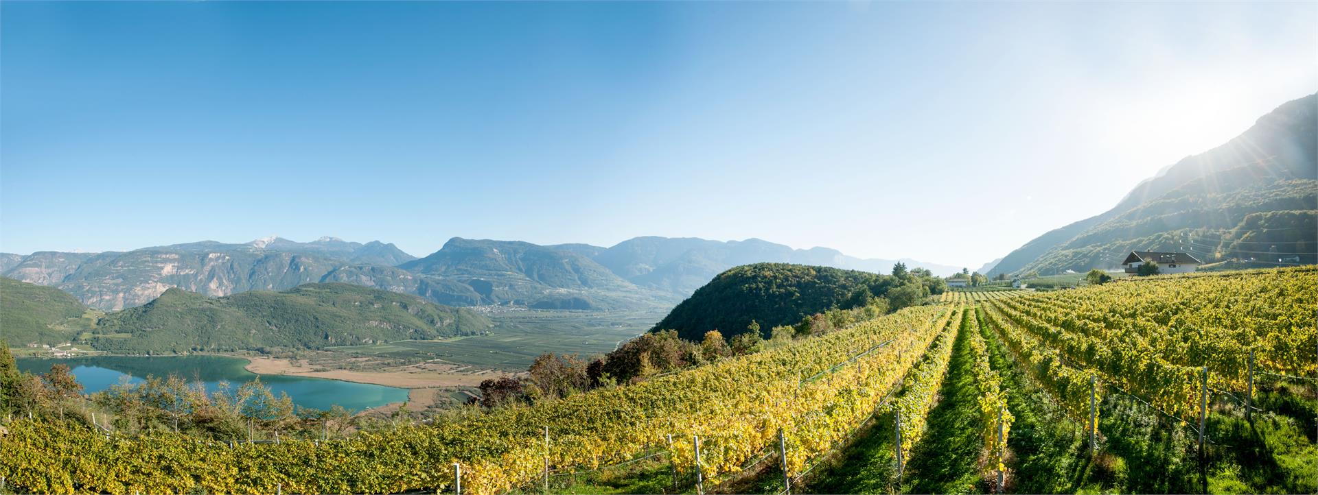 Eichenhof Kaltern an der Weinstraße/Caldaro sulla Strada del Vino 17 suedtirol.info