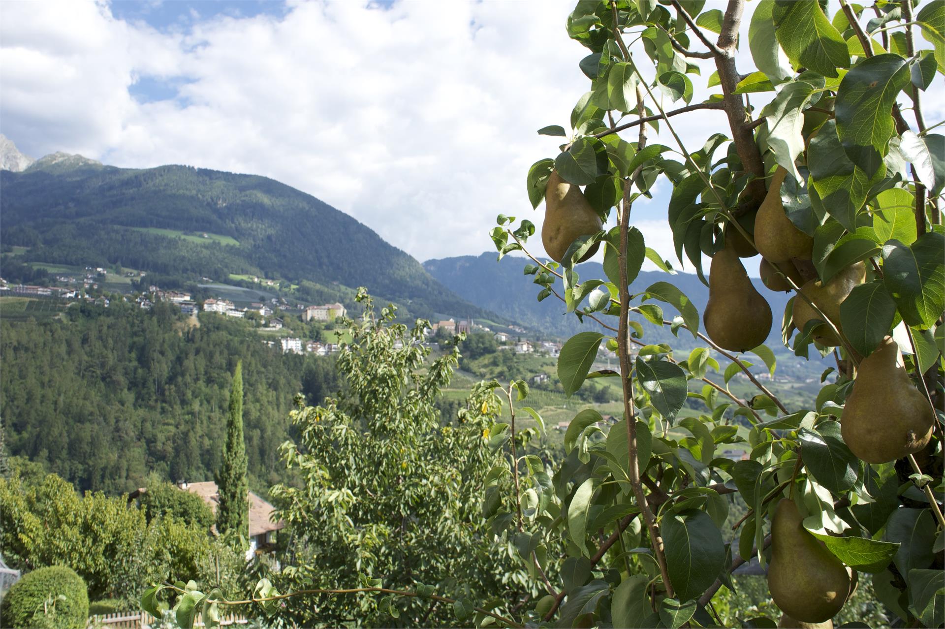 Evi Apartment Kuens 21 suedtirol.info